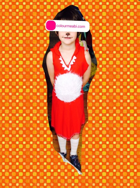 Roald Dahl Day Fantastic Mr Fox Costume Fancy-dress