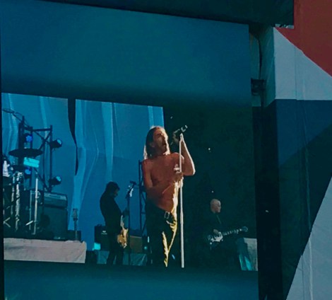 Iggy pop colourmeabi.com finsbury park 2018 june qosta